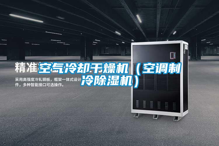 国产精品三级在线观看 空气冷却干燥机（空调制冷除湿机）