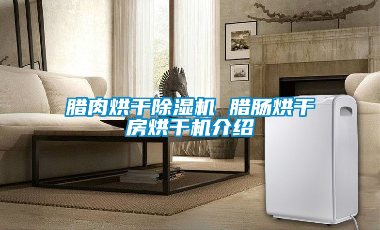 国产精品三级在线观看 腊肉烘干除湿机 腊肠烘干房烘干机介绍