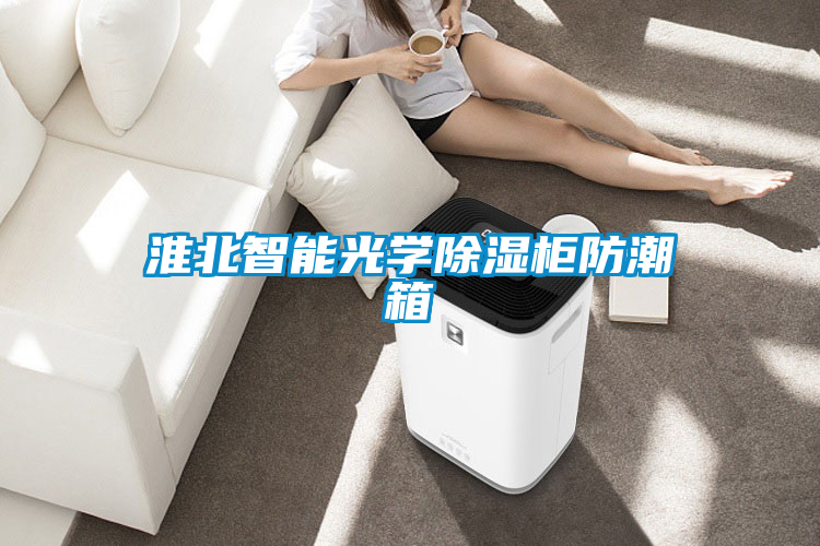 国产精品三级在线观看 淮北智能光学除湿柜防潮箱
