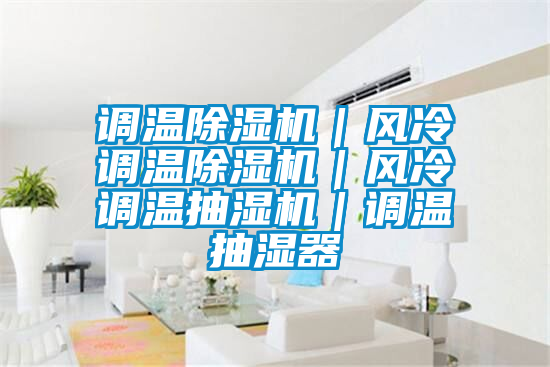 国产精品三级在线观看 调温除湿机｜风冷调温除湿机｜风冷调温抽湿机｜调温抽湿器