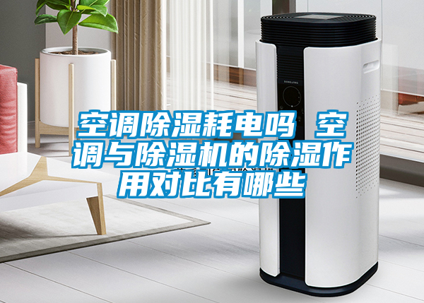 国产精品三级在线观看 空调除湿耗电吗 空调与除湿机的除湿作用对比有哪些