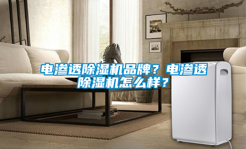 国产精品三级在线观看 电渗透除湿机品牌？电渗透除湿机怎么样？