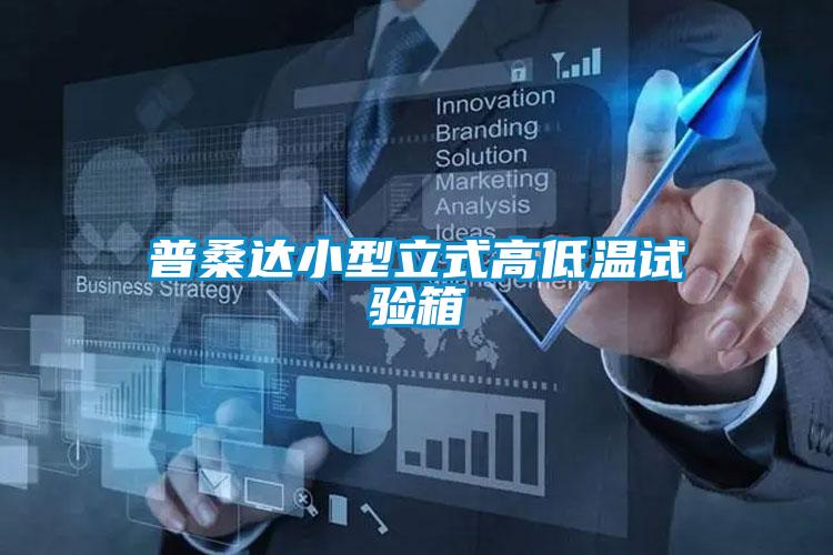 国产精品欧美激情视频 普桑达小型立式高低温试验箱