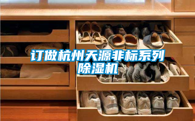 国产精品探花在线观看 订做杭州天源非标系列除湿机