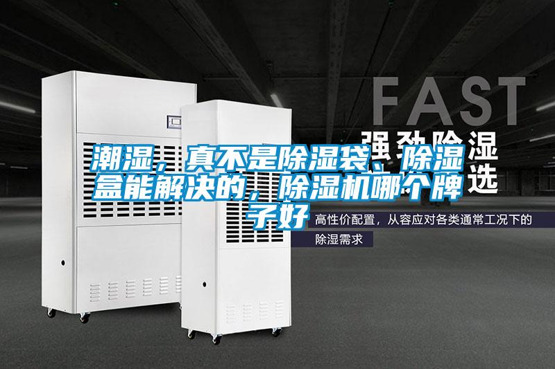 国产精品探花在线观看 潮湿，真不是除湿袋、除湿盒能解决的，除湿机哪个牌子好