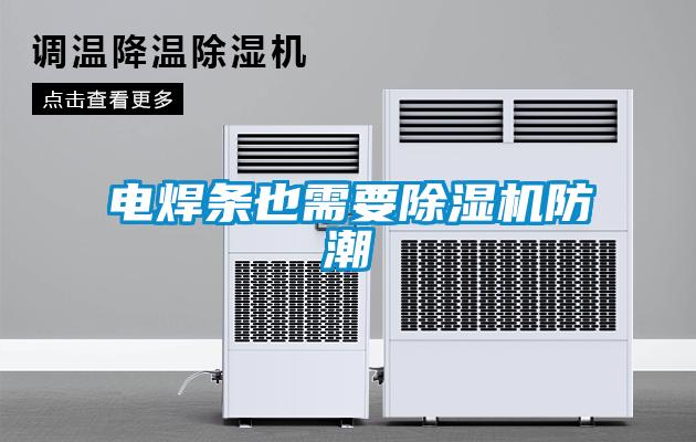 国产精品三级在线观看 电焊条也需要除湿机防潮