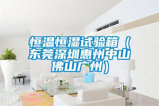 国产精品三级在线观看 恒温恒湿试验箱（东莞深圳惠州中山佛山广州）