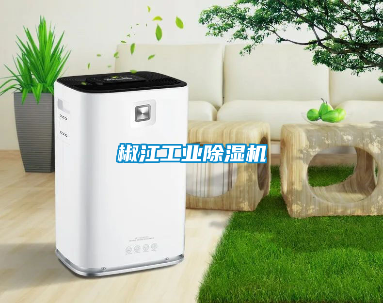 国产精品探花在线观看 椒江工业除湿机