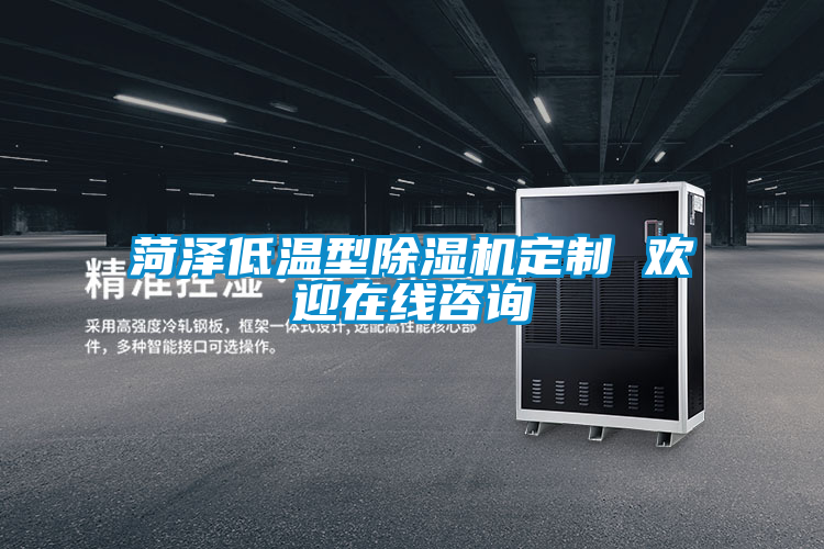 国产精品欧美激情视频 菏泽低温型除湿机定制 欢迎在线咨询