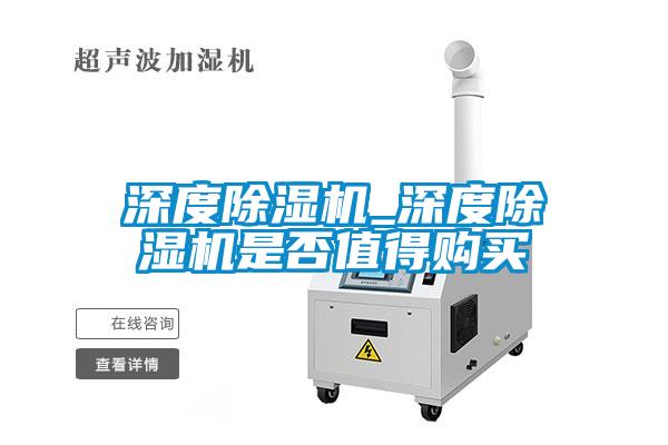 国产精品三级在线观看 深度除湿机_深度除湿机是否值得购买