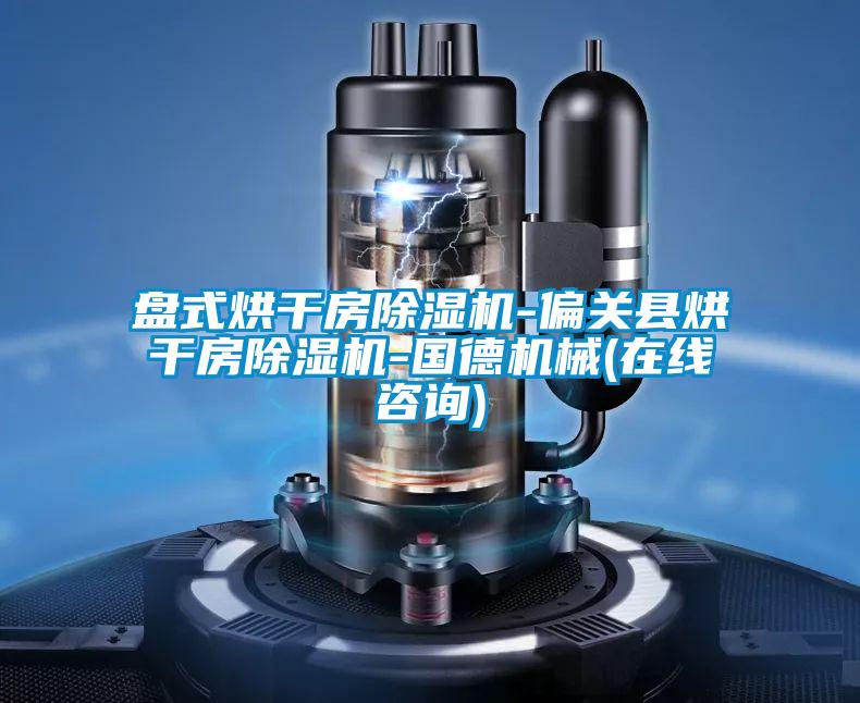 国产精品欧美激情视频 盘式烘干房除湿机-偏关县烘干房除湿机-国德机械(在线咨询)