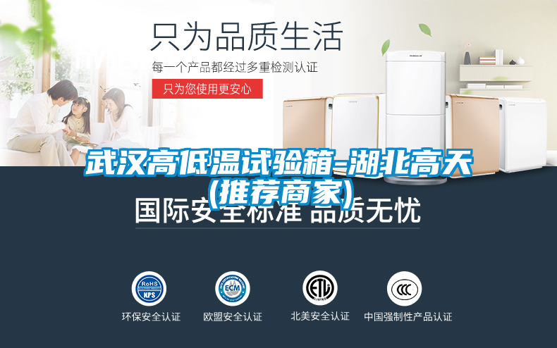 国产精品探花在线观看 武汉高低温试验箱-湖北高天(推荐商家)