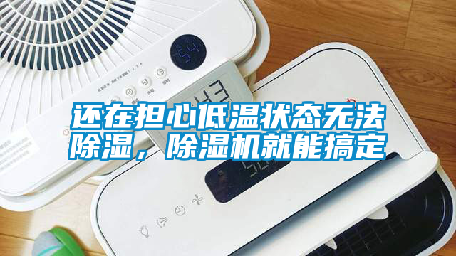 国产精品探花在线观看 还在担心低温状态无法除湿，除湿机就能搞定