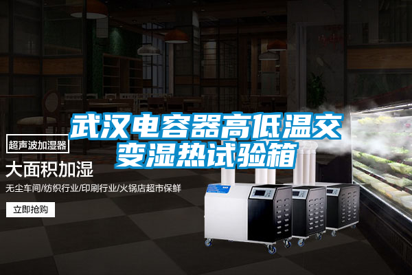 国产精品探花在线观看 武汉电容器高低温交变湿热试验箱