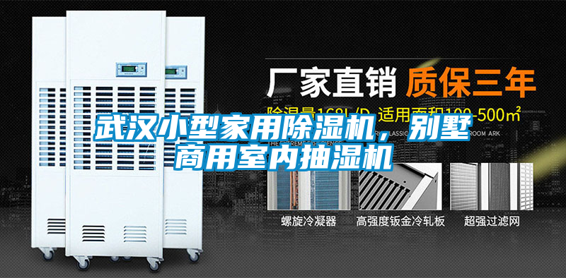 国产精品探花在线观看 武汉小型家用除湿机，别墅商用室内抽湿机