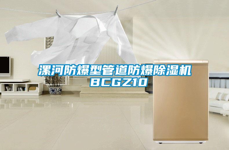 国产精品探花在线观看 漯河防爆型管道防爆除湿机 BCGZ10