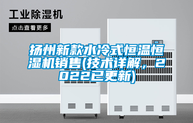 国产精品三级在线观看 扬州新款水冷式恒温恒湿机销售(技术详解，2022已更新)