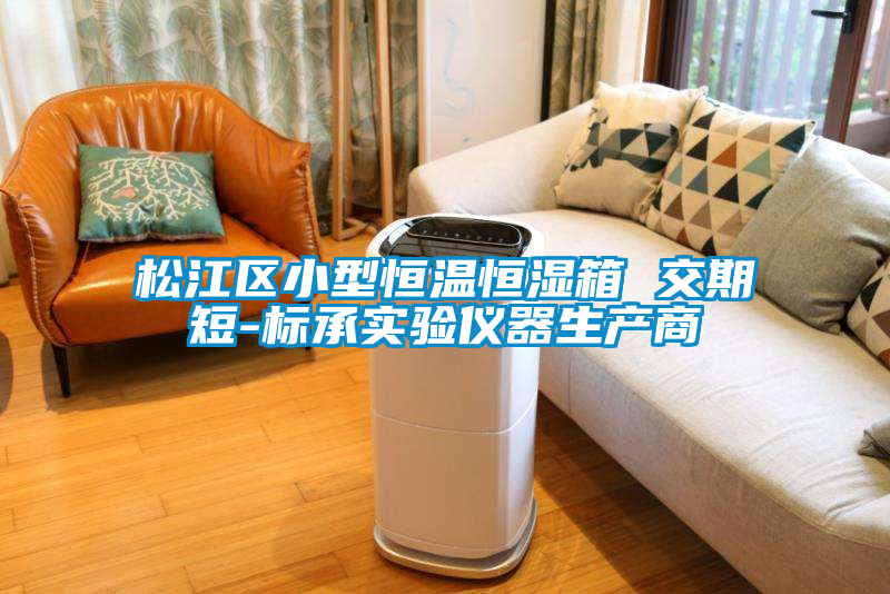国产精品三级在线观看 松江区小型恒温恒湿箱 交期短-标承实验仪器生产商