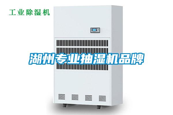 国产精品欧美激情视频 湖州专业抽湿机品牌