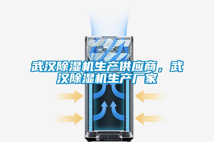 国产精品探花在线观看 武汉除湿机生产供应商，武汉除湿机生产厂家