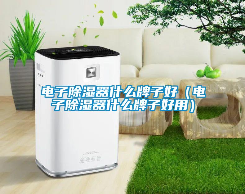 国产精品欧美激情视频 电子除湿器什么牌子好（电子除湿器什么牌子好用）