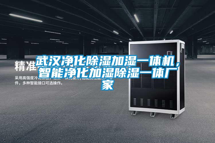 国产精品欧美激情视频 武汉净化除湿加湿一体机，智能净化加湿除湿一体厂家