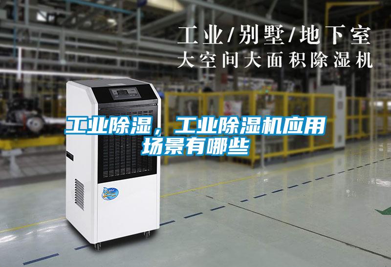 国产精品欧美激情视频 工业除湿，工业除湿机应用场景有哪些