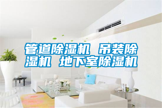 国产精品探花在线观看 管道除湿机 吊装除湿机 地下室除湿机