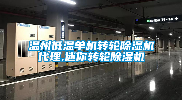国产精品三级在线观看 温州低温单机转轮除湿机代理,迷你转轮除湿机