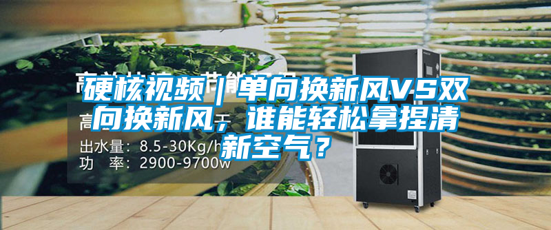国产精品三级在线观看 硬核视频｜单向换新风VS双向换新风，谁能轻松拿捏清新空气？