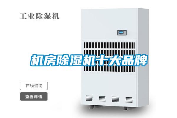 国产精品欧美激情视频 机房除湿机十大品牌