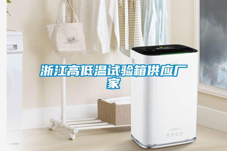 国产精品欧美激情视频 浙江高低温试验箱供应厂家