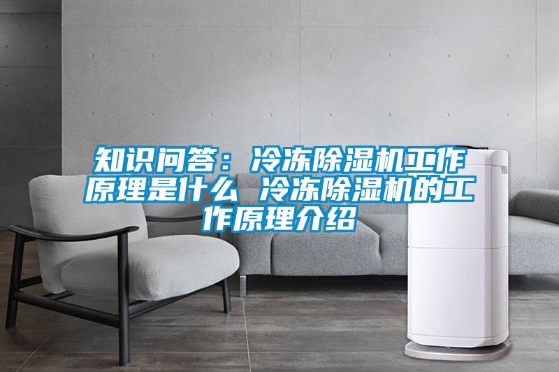 国产精品探花在线观看 知识问答：冷冻除湿机工作原理是什么 冷冻除湿机的工作原理介绍