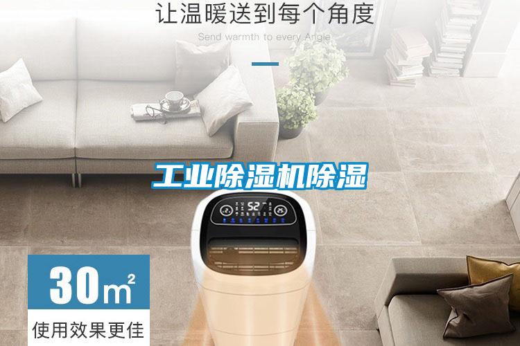 国产精品探花在线观看 工业除湿机除湿