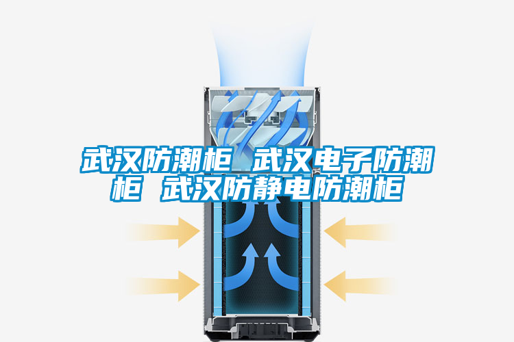 国产精品探花在线观看 武汉防潮柜 武汉电子防潮柜 武汉防静电防潮柜