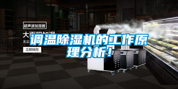 国产精品三级在线观看 调温除湿机的工作原理分析！