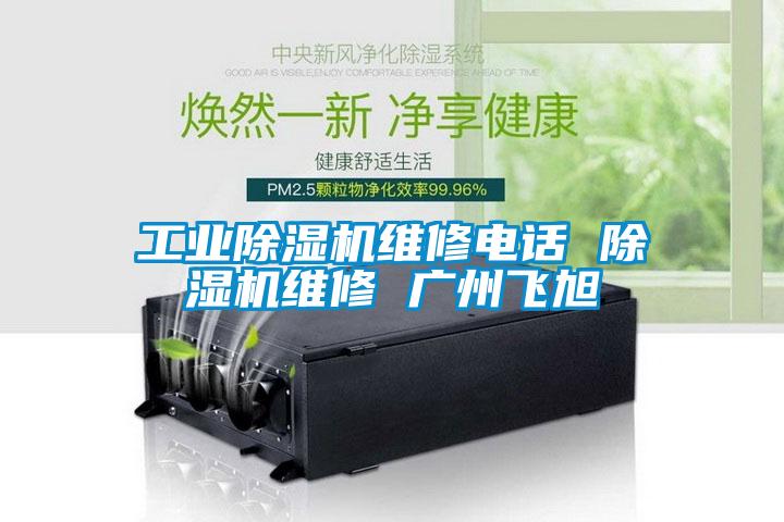 国产精品欧美激情视频 工业除湿机维修电话 除湿机维修 广州飞旭