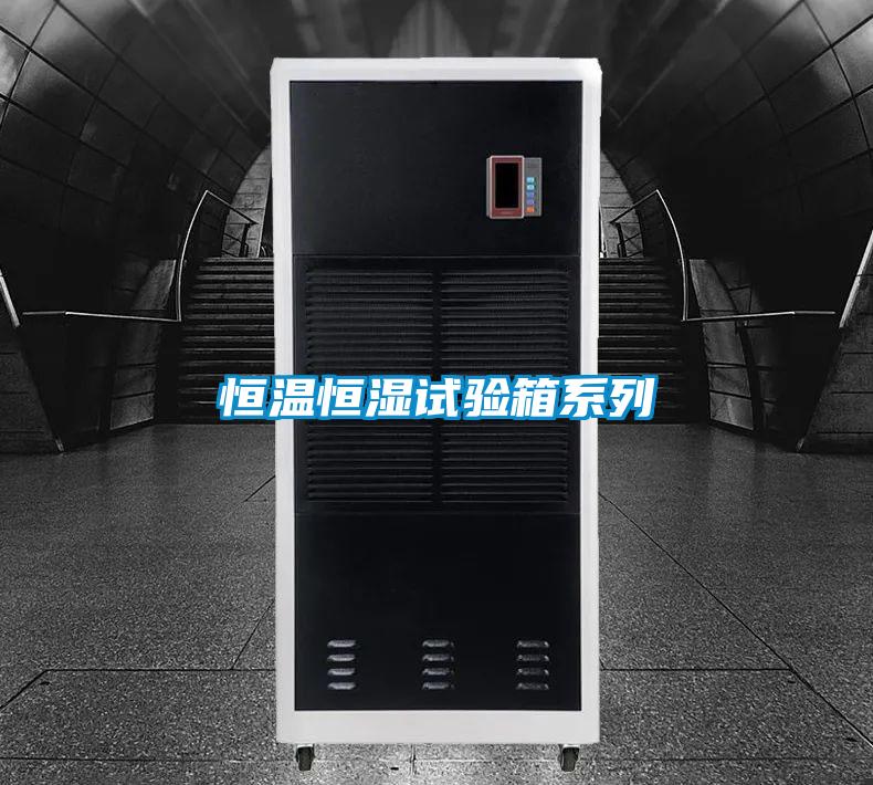 国产精品欧美激情视频 恒温恒湿试验箱系列