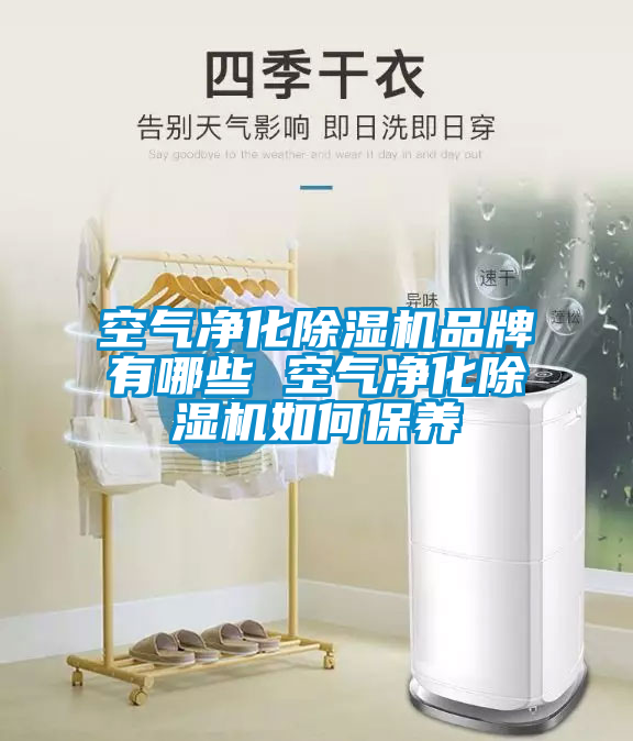 国产精品三级在线观看 空气净化除湿机品牌有哪些 空气净化除湿机如何保养