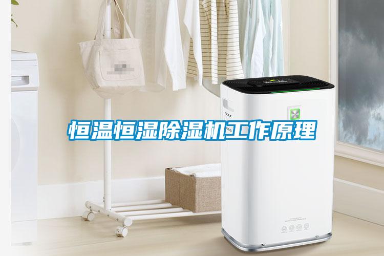 国产精品探花在线观看 恒温恒湿除湿机工作原理