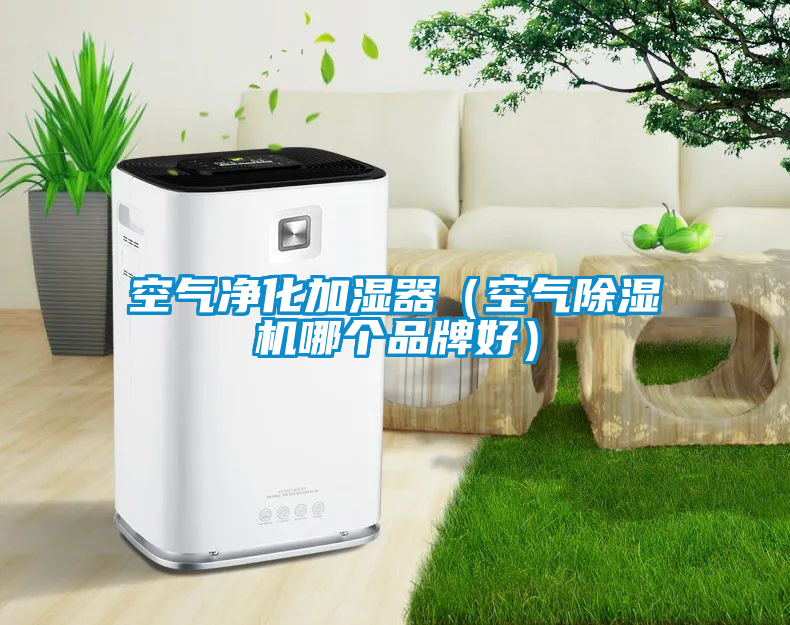 国产精品欧美激情视频 空气净化加湿器（空气除湿机哪个品牌好）