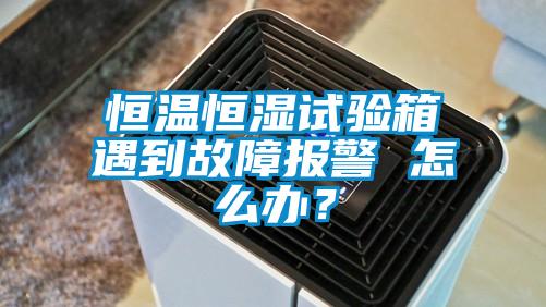 国产精品欧美激情视频 恒温恒湿试验箱遇到故障报警 怎么办？