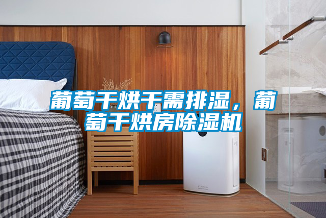 国产精品三级在线观看 葡萄干烘干需排湿，葡萄干烘房除湿机