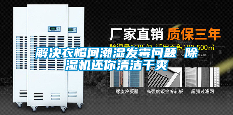 国产精品三级在线观看 解决衣帽间潮湿发霉问题 除湿机还你清洁干爽