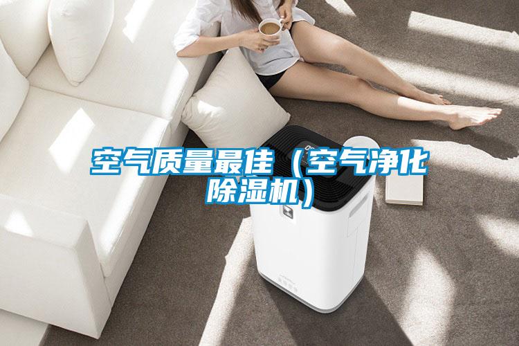 国产精品三级在线观看 空气质量最佳（空气净化除湿机）