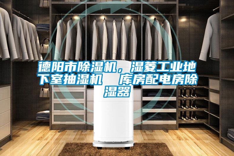 国产精品三级在线观看 德阳市除湿机，湿菱工业地下室抽湿机  库房配电房除湿器