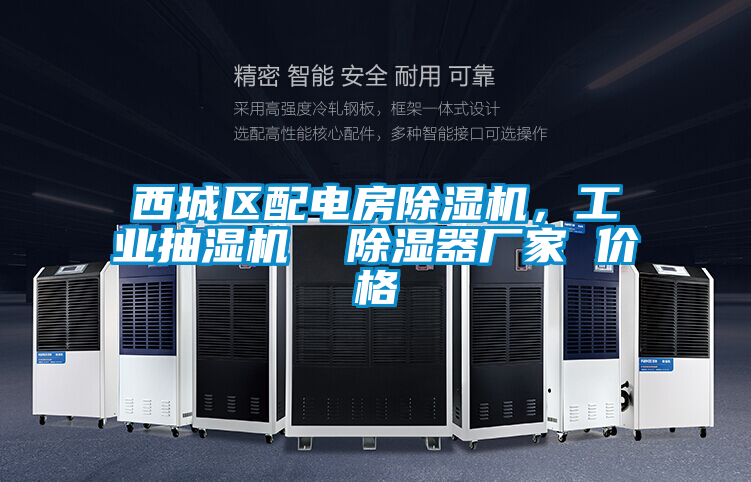 国产精品三级在线观看 西城区配电房除湿机，工业抽湿机  除湿器厂家 价格