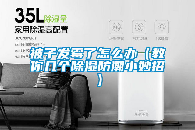 国产精品欧美激情视频 被子发霉了怎么办（教你几个除湿防潮小妙招）