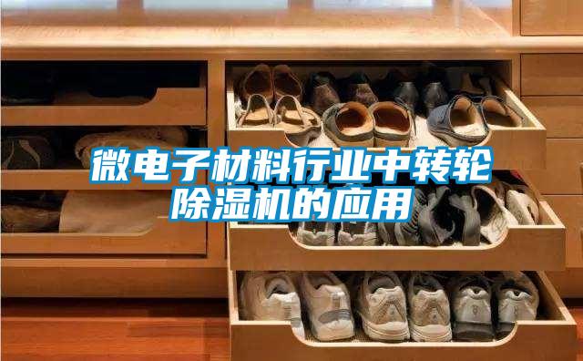 国产精品欧美激情视频 微电子材料行业中转轮除湿机的应用