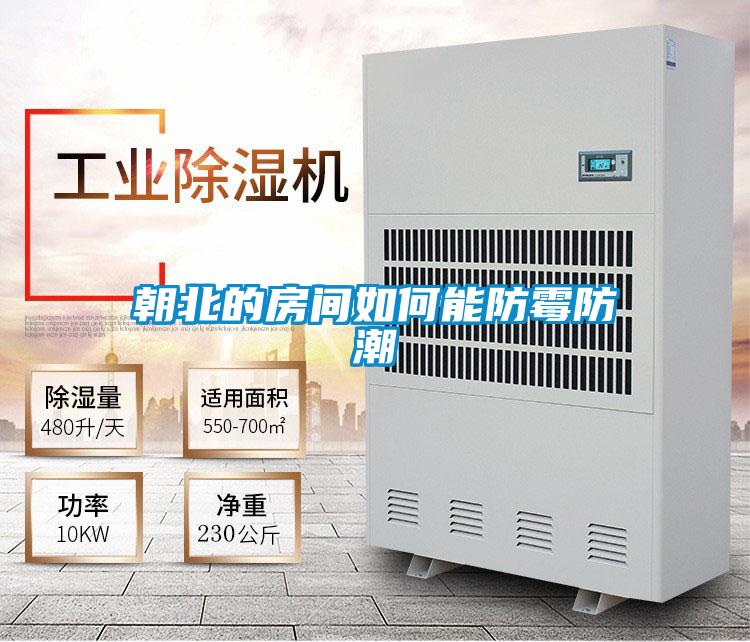 国产精品三级在线观看 朝北的房间如何能防霉防潮